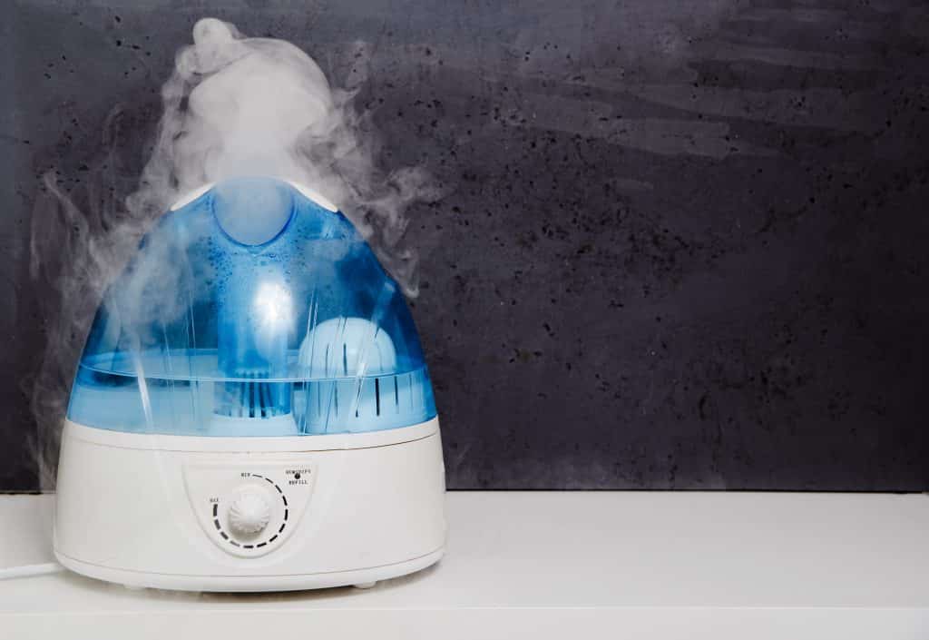 Which is Better? Cool Mist Versus Warm Mist Humidifier - The Home Dweller