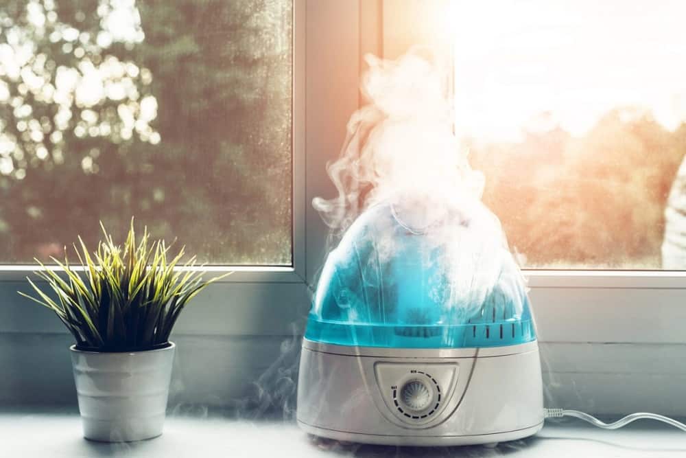 Which is Better? Cool Mist Versus Warm Mist Humidifier - The Home Dweller