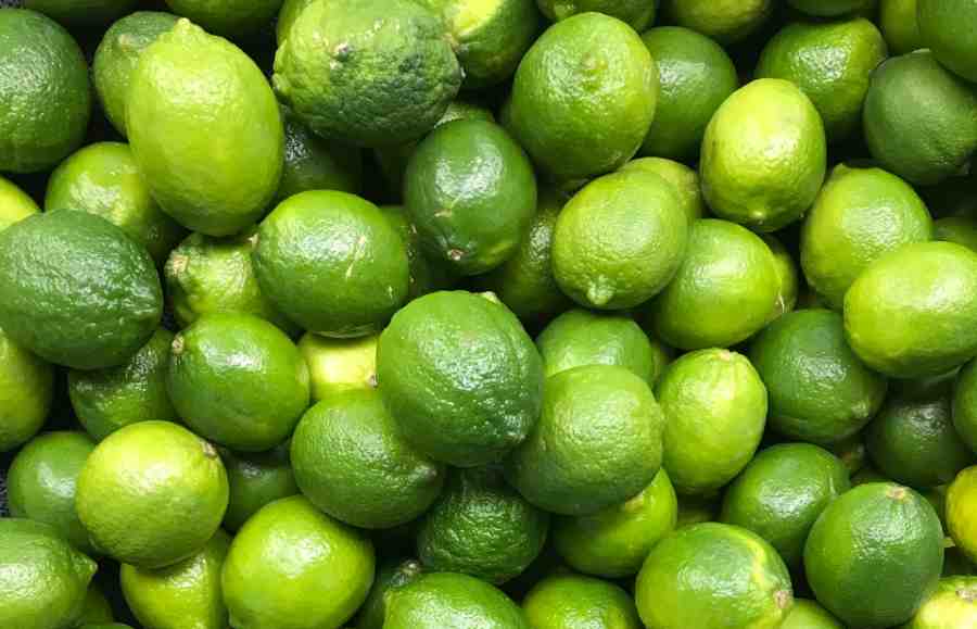 A bushel of key limes laying on top of one another