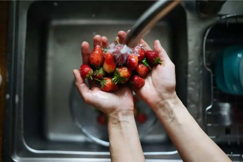 A person washing strawberries over the kitchen sink