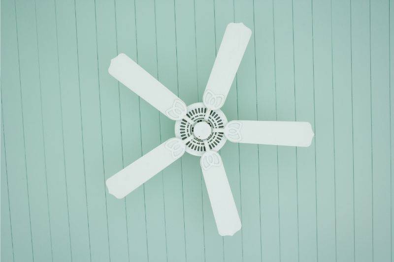 A 5-blade ceiling fan