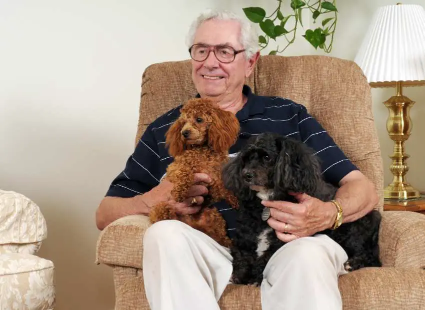 An elderly man and his two dogs relaxing in a recliner 