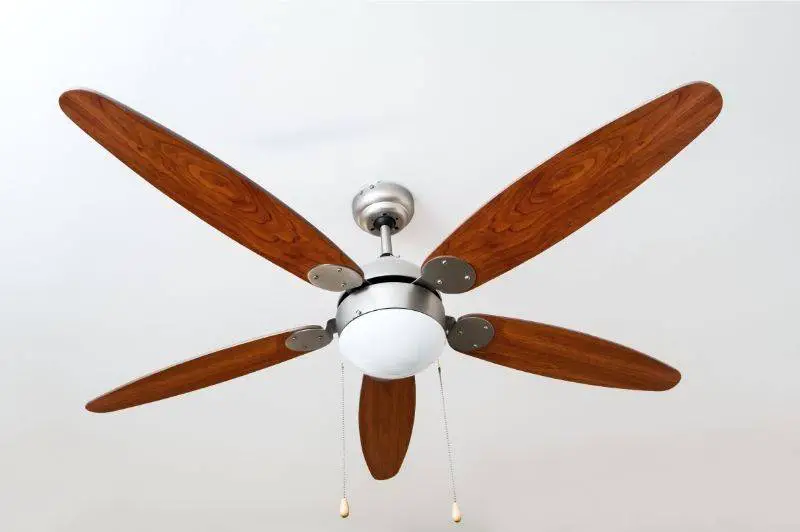 A 5-bladed ceiling fan 