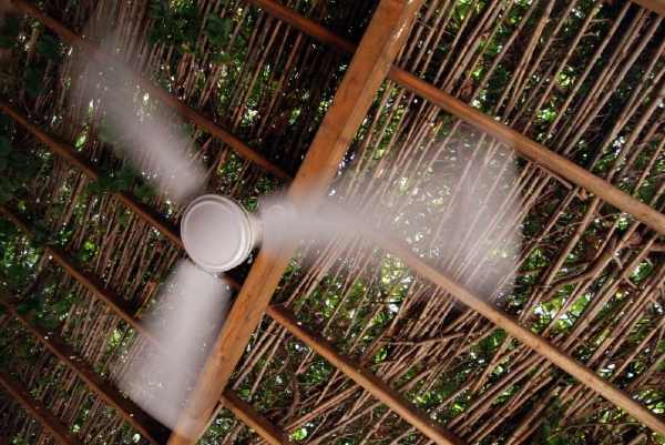 A 3-bladed outdoor ceiling fan in action  