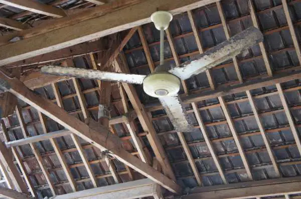 7 Best Outdoor Ceiling Fans For Your Covered Patio or Deck