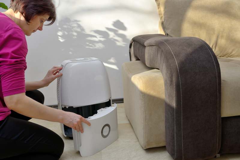 woman cleaning a dehumidifier water resevoir