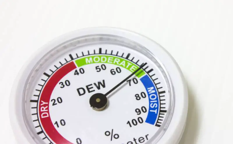 An analog humidity meter (hygrometer) 