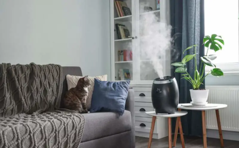 A cat sitting on a sofa, watching a humidifier 