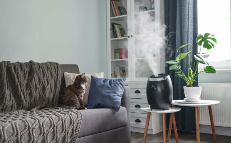 A cat sitting on a sofa, watching a humidifier 